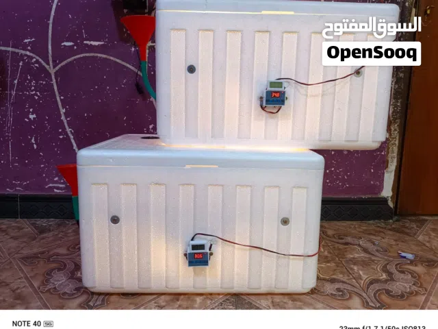 فقاسه الوصف مهم