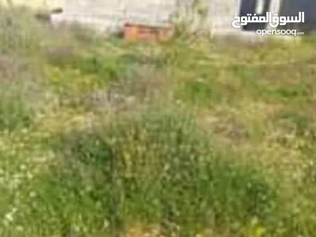 Residential Land for Sale in Tripoli Tajura