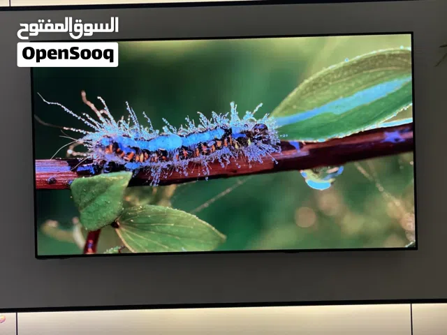 عش تجربة سينمائية مع هايسنس OLED