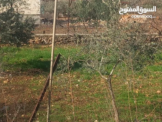 Residential Land for Sale in Ramallah and Al-Bireh Kafr Ni'ma