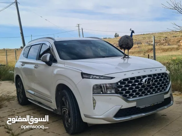 ترخيص 2020/ ون مليون/فل الفل بدون فتحه 4/2//