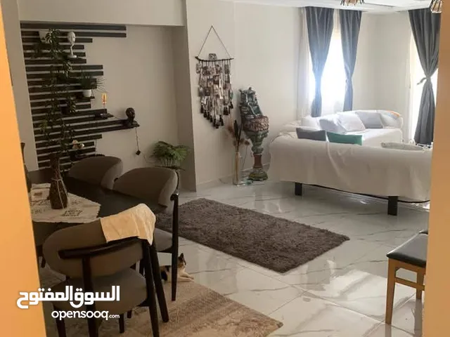 220 m2 3 Bedrooms Apartments for Rent in Cairo Fifth Settlement