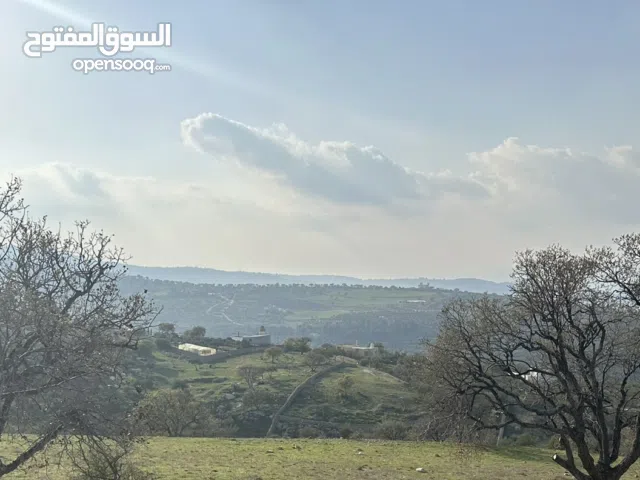 Farm Land for Sale in Zarqa Al-Alouk