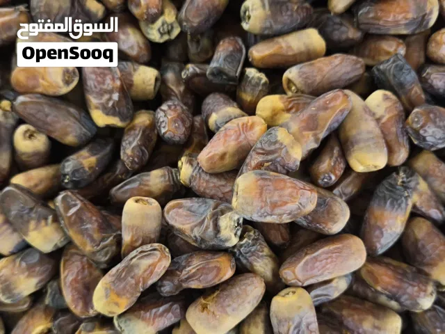 تمر نغال محقب للبيع الكيلو