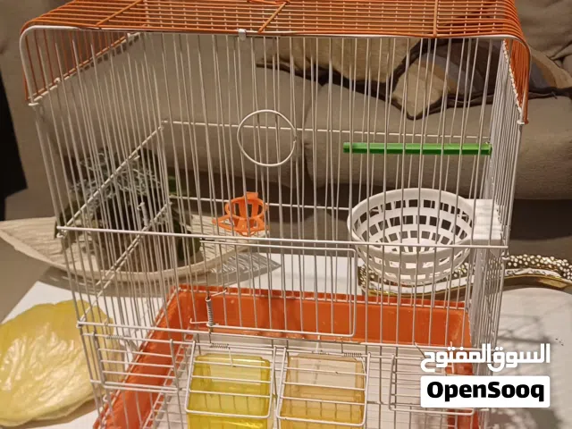 قفص اخضر ب 6 وقفص برتقالي ب 8