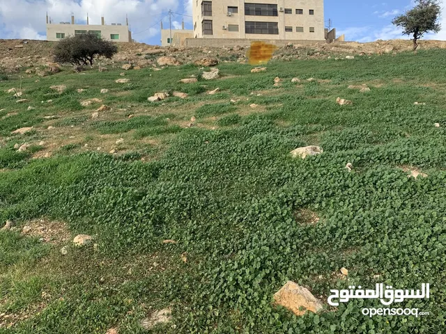 أرض للبيع في الدمينة سكن ب خاص منطقة فلل