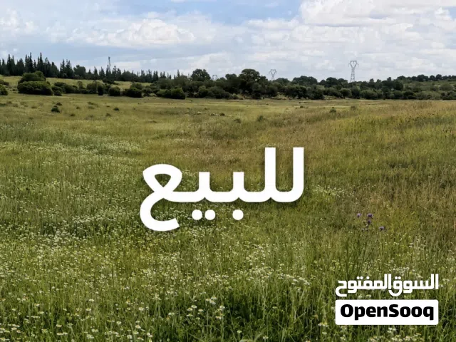 Farm Land for Sale in Kairouan Other
