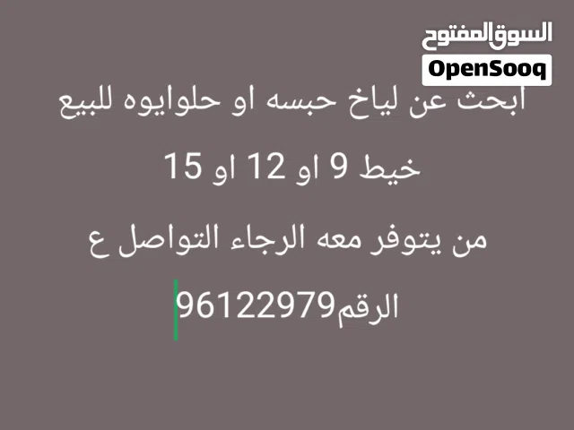 ابحث عن لياخ حبسه او حلوايوه للبيع خيط 9 او 12