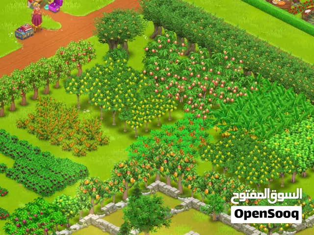حساب hayday