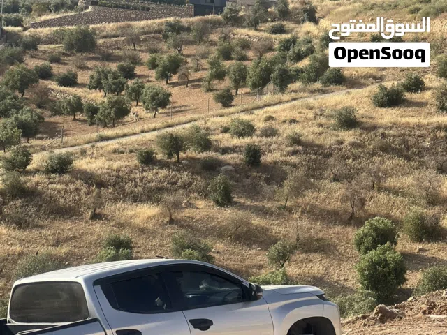 Mixed Use Land for Sale in Jerash Al-Mastaba