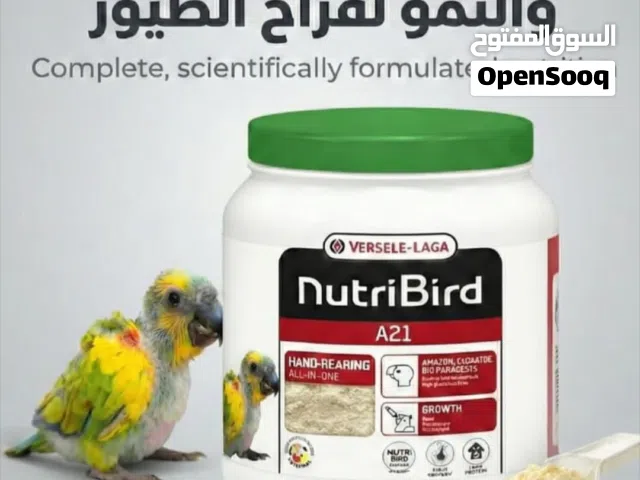 غذاء البغبغاء[الفراخ]