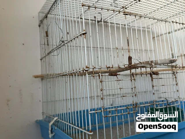 قفص طيور للبيع