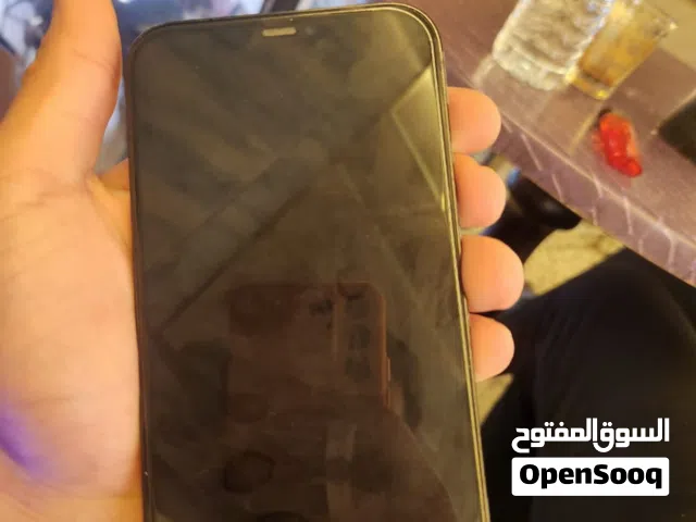 iPhone 12 pro max