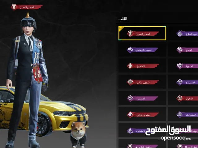 Pubg Accounts and Characters for Sale in Abu Dhabi