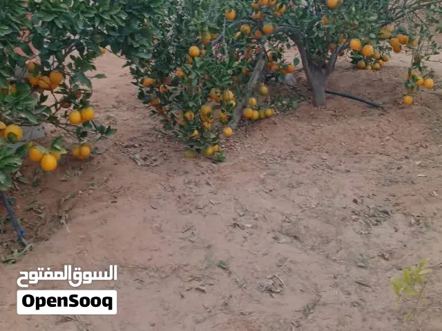 استراحه في السيدة زينب للبيع