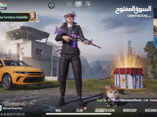Pubg Accounts and Characters for Sale in Tulkarm