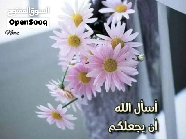 شقة مفروشة للأيجار حيى السلام