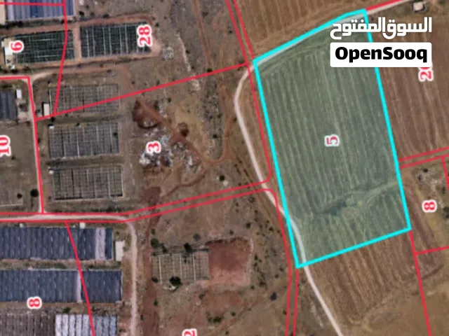 ارض بيت دجن للبيع والاستثمار