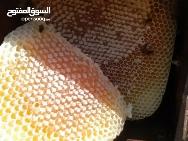 عسل سدر دوعني