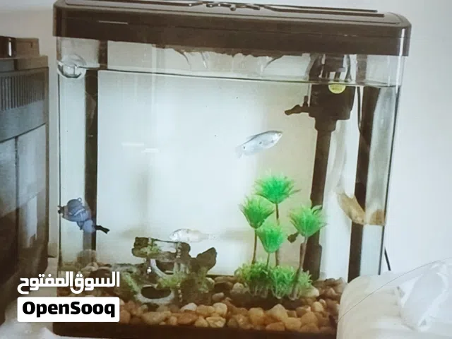 حوض اسماك مع مضخة و فلتر