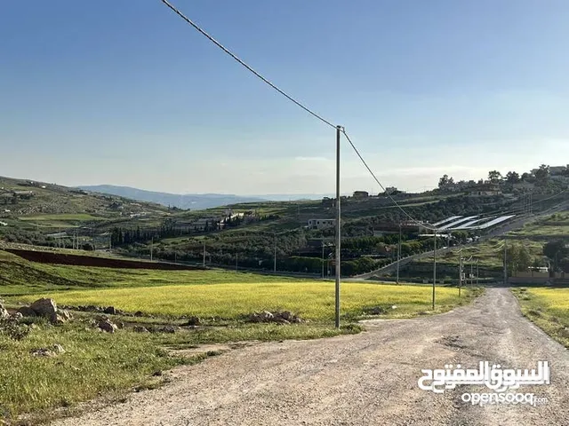 من المالك من اميز القطع جرش ام قنطره حوض المحمر مقابل مطعم ريف المزرعه 2000 م مستويه جميع الخدمات