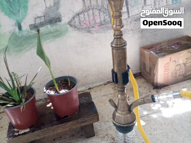 احلا نفس تفاحتين