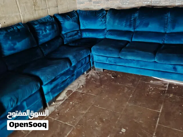 كنب دب امريكي