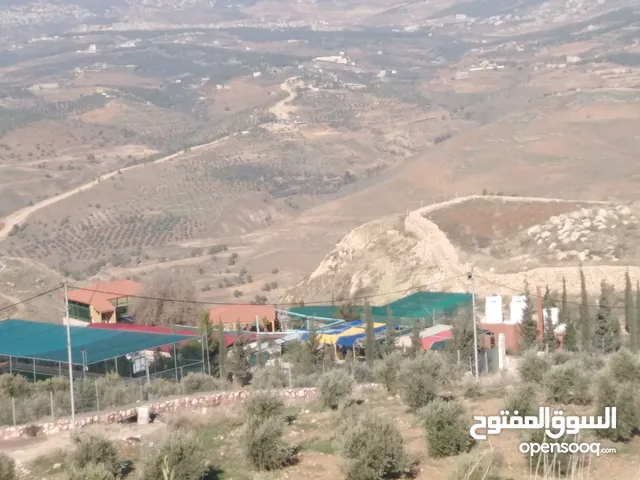 Mixed Use Land for Sale in Jerash Al-Mastaba