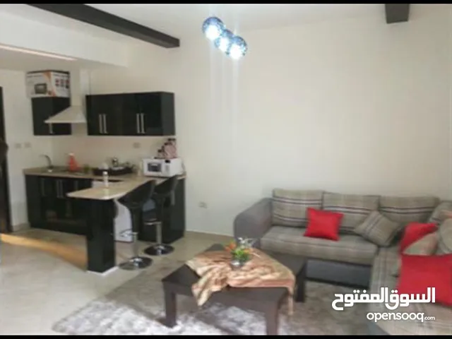 50 m2 Studio Apartments for Rent in Amman University Street