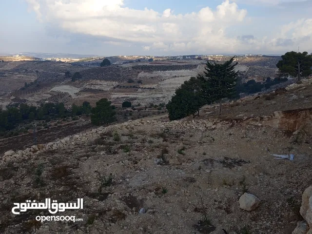 موجود ارضي للبيع في صوريف
