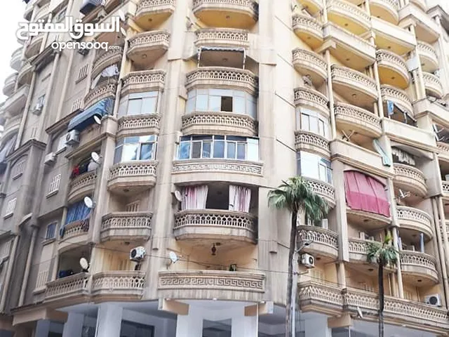 165 m2 3 Bedrooms Apartments for Sale in Alexandria Seyouf