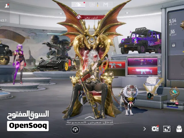 Pubg Accounts and Characters for Sale in Tulkarm
