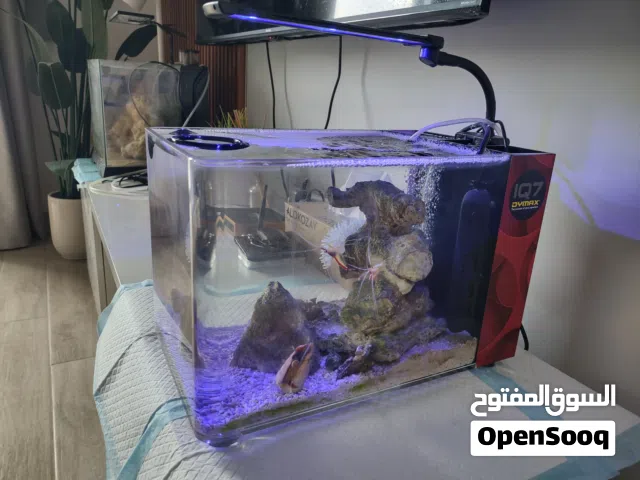 حوض سمك بحري مع اسماك حية و جميع المستلزمات Dymax IQ-7