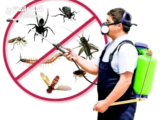 رش المبيدات الحشرية لأزالة القوارص والحشرات