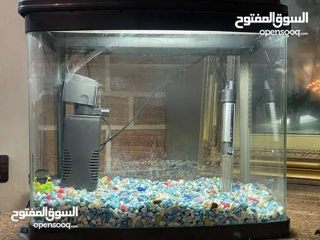 حوض سمك مع فلتر واضاءه لون ابيض