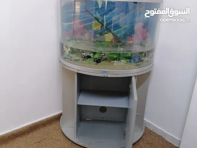 حوض سمك 3D للبيع