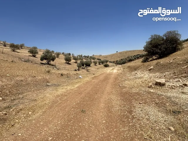ارض للبيع من المالك لتصلح لمزرعة او إسكان        ط