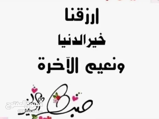 مطلوب شريك ممول السوداني