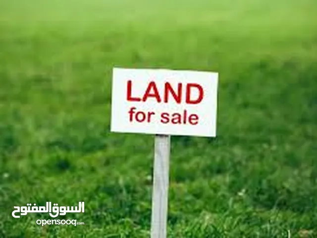 قطعة أرض مميزة للبيع في عين الحور مع إطلالة بانورامية خلابة على البحر الأبيض المتوسط