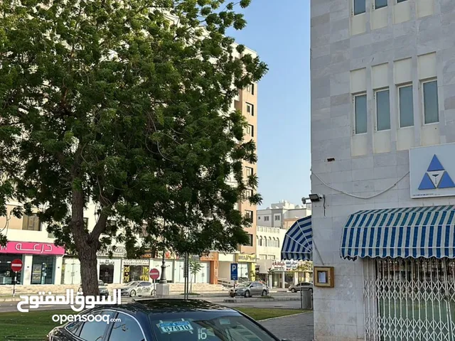 تويوتا افلون xle فل مواصفات v6 3.5L خروج عن المسار نقاط عمياء تحذير الاصطدام