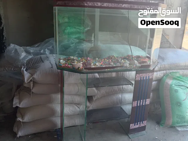 حوض سمك نخب أول