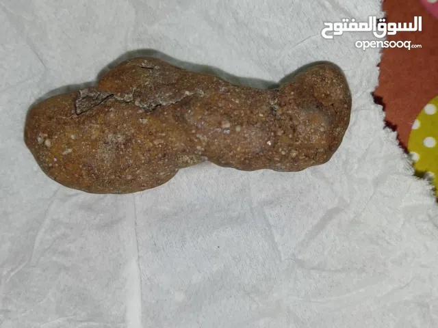 للبیع حجر کریم (هبهاب نازف)  شرط الفحص و کفاله تصل لمدة 4 شهور .