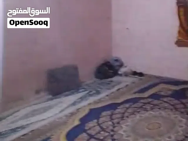 150 m2 2 Bedrooms Townhouse for Sale in Basra Qibla