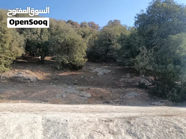 ارض في منطقة الكمالية