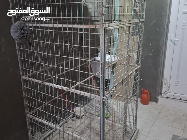 السلام عليكم قفص حديد للبيع
