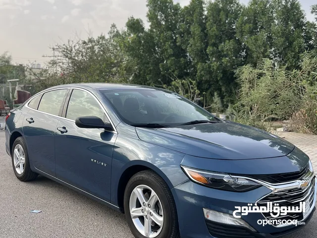 ماليبو مديل 2024