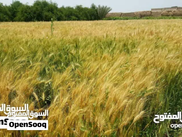 Farm Land for Sale in Tripoli Espiaa