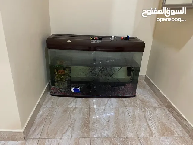 حوض سمك مع الفلتر