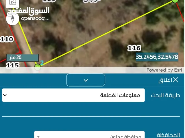 ارض للبيع في اجمل مناطق عجلون بين احضان الطبيعه بالقرب من محمية غابات عجلون في منطقة ام الينابيع