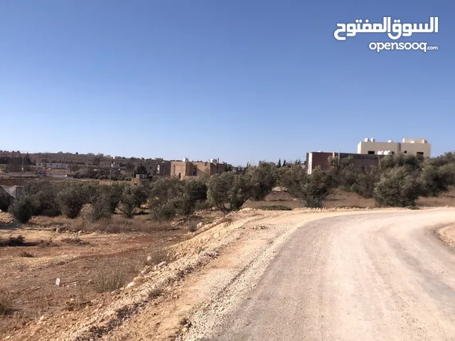 Residential Land for Sale in Amman Naour
